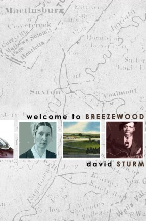 breezewood-projectspage